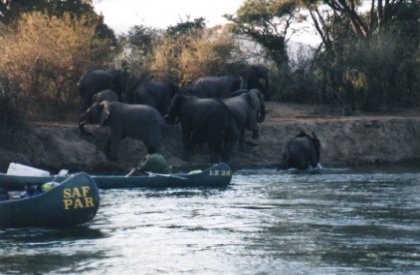 Zambezi