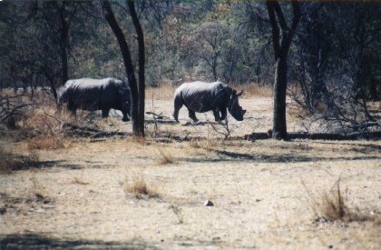 Matobo